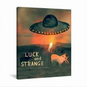 Pink Floyd Canvas - David GIlmour Luck And Strange Dark and Velvet Nights