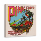 Pink Floyd Canvas - Hughes Stadium Sacramento Concert