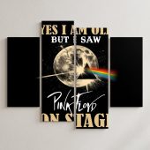 Pink Floyd Canvas - I Am Old But I Saw Pink Floyd On Stage DSOTM Pink Floyd Canvas - I Am Old But I Saw Pink Floyd On Stage DSOTM