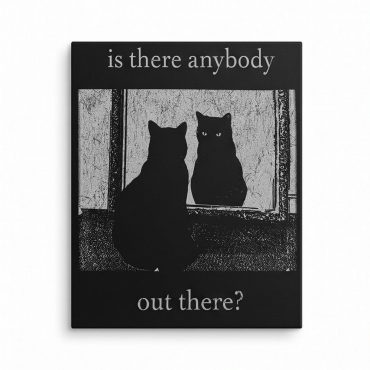 Pink Floyd Canvas - Is There Any Body Out There Funny Witchy Cat