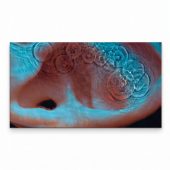 Pink Floyd Canvas - Meddle Album Cover 1971