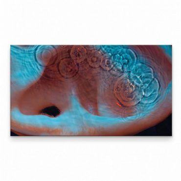 Pink Floyd Canvas - Meddle Album Cover 1971 Pink Floyd Canvas - Meddle Album Cover 1971