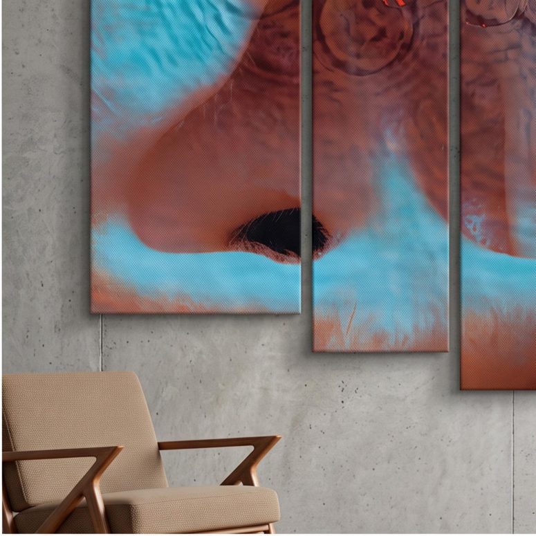 Pink Floyd Canvas - Meddle Album Cover 1971
