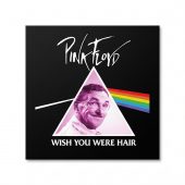 Pink Floyd Canvas - Wish You Were Hair