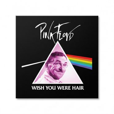 Pink Floyd Canvas - Wish You Were Hair Pink Floyd Canvas - Wish You Were Hair