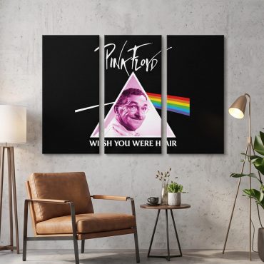 Pink Floyd Canvas - Wish You Were Hair