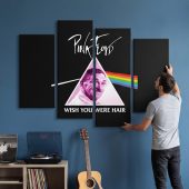 Pink Floyd Canvas - Wish You Were Hair Pink Floyd Canvas - Wish You Were Hair