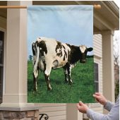 Pink Floyd Flag - Atom Heart Mother