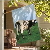 Pink Floyd Flag - Atom Heart Mother