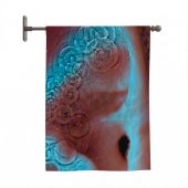 Pink Floyd Flag - Meddle Album Cover 1971