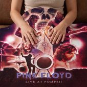 Pink Floyd Fleece Blanket - Pink Floyd Live At PomPeii Illustration Pink Floyd Fleece Blanket - Pink Floyd Live At PomPeii Illustration