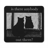 Pink Floyd Mousepad - Is There Any Body Out There Funny Witchy Cat