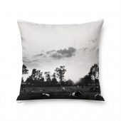 Pink Floyd pillow cover - Cow Field