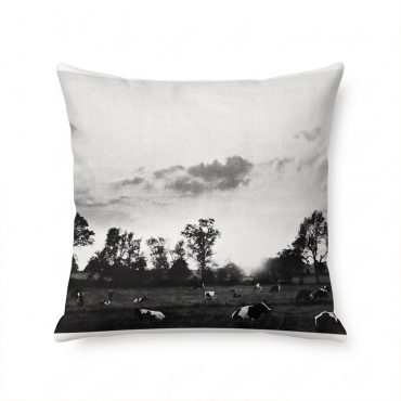 Pink Floyd pillow cover - Cow Field Pink Floyd pillow cover - Cow Field