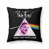 Pink Floyd Pillow Cover - Wish You Were Hair