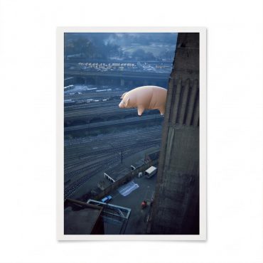 Pink Floyd Poster - Animals 2018 Remix Algie Pig Pink Floyd Poster - Animals 2018 Remix Algie Pig