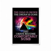 Pink Floyd Poster - Comfortably Numb The Child Is Grown The Dream Is Gone