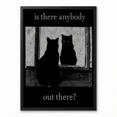 Pink Floyd Poster - Is There Any Body Out There Funny Witchy Cat