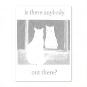 Pink Floyd Poster - Is There Any Body Out There Funny Witchy Cat