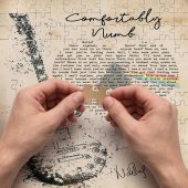 Pink Floyd Puzzle - Comfortably Numb Lyrics Band Signatures