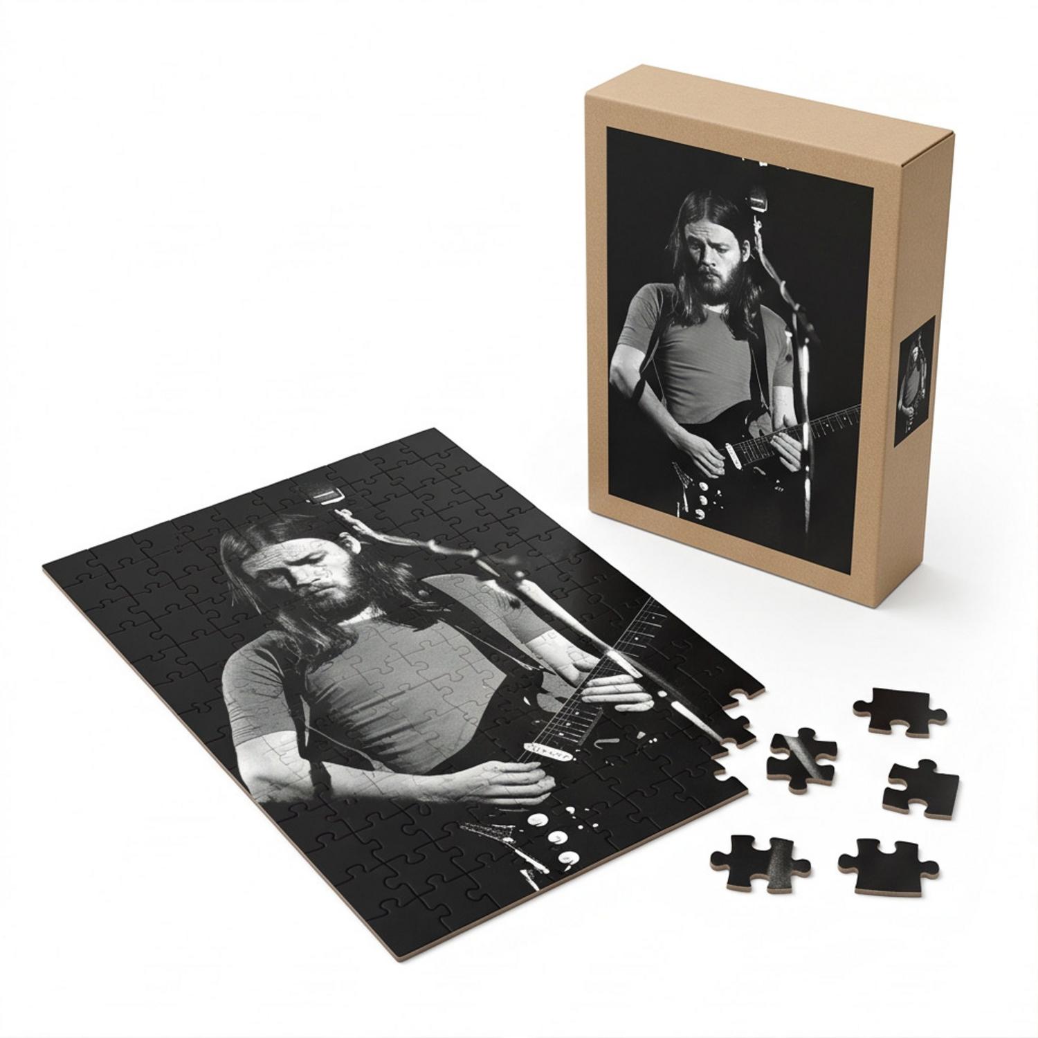 Pink Floyd Puzzle - David Gilmour Live In Concert 1974 Pink Floyd Puzzle - David Gilmour Live In Concert 1974