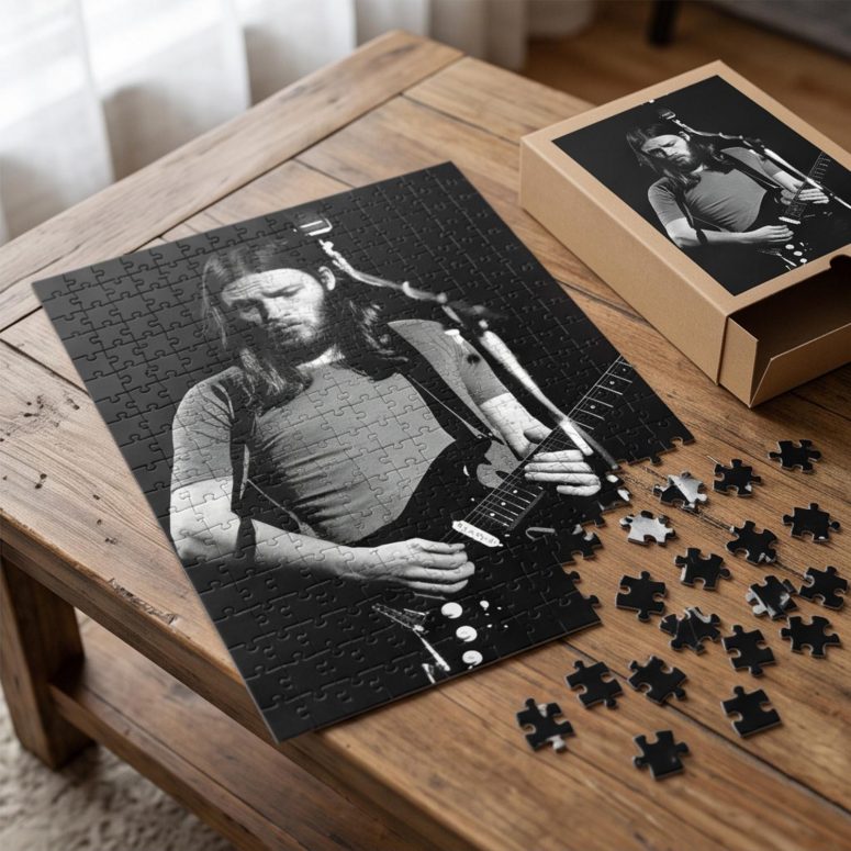 Pink Floyd Puzzle - David Gilmour Live In Concert 1974 Pink Floyd Puzzle - David Gilmour Live In Concert 1974