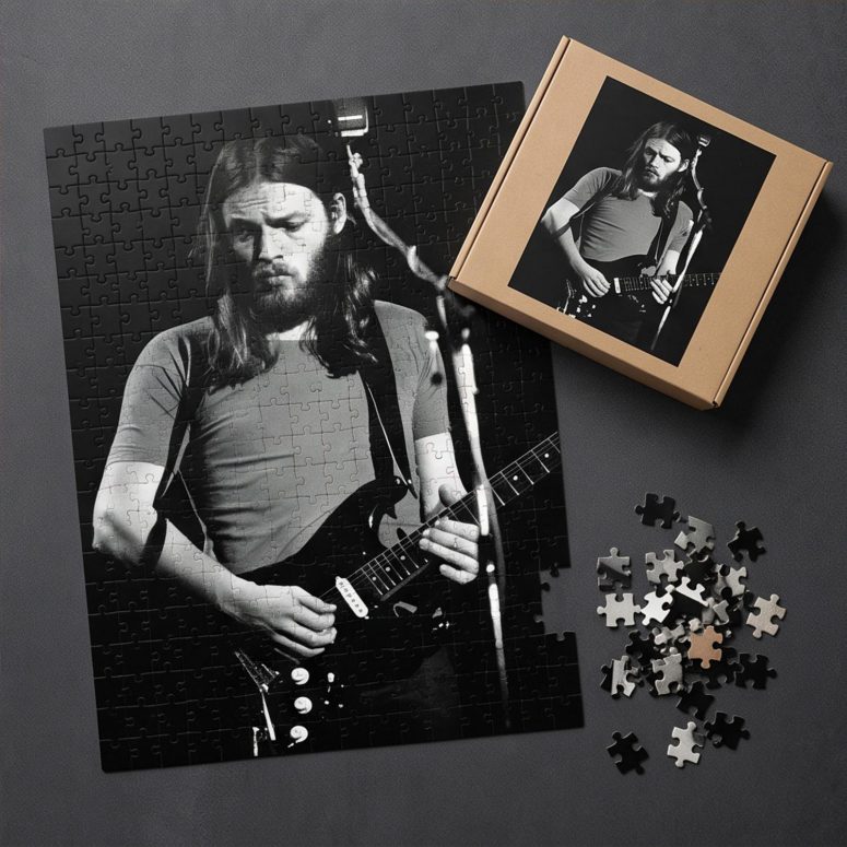 Pink Floyd Puzzle - David Gilmour Live In Concert 1974 Pink Floyd Puzzle - David Gilmour Live In Concert 1974