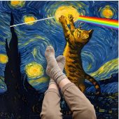 Pink Floyd Rug - Cat Starry Night Touching Moon Van Gogh DSOTM