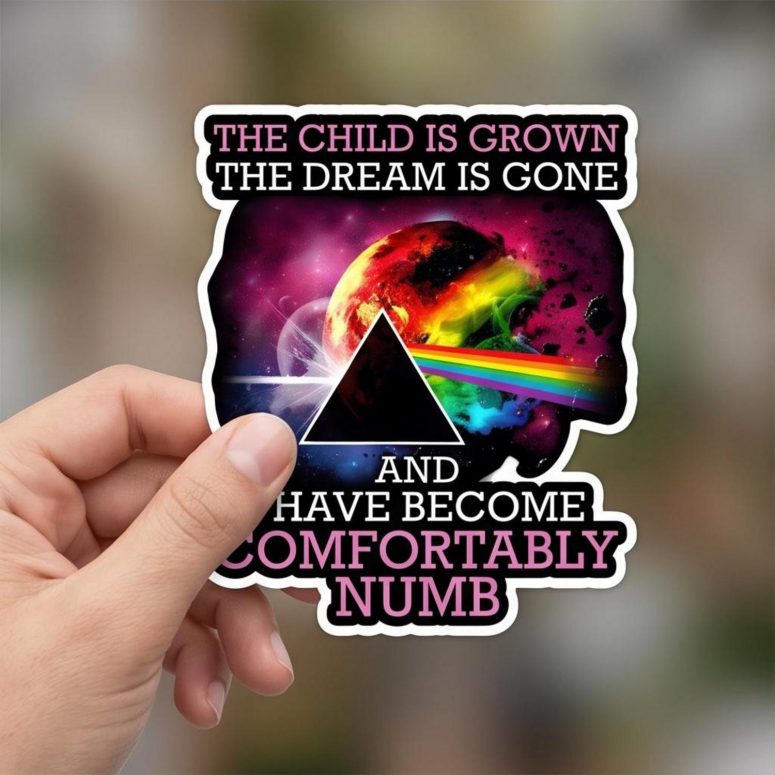 Pink Floyd Sticker - Comfortably Numb The Child Is Grown The Dream Is Gone