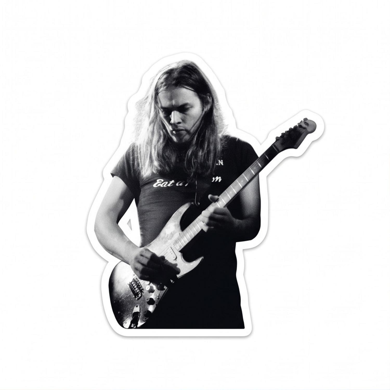 Pink Floyd Sticker - Gilmour at Earls Court with the Black Strat 1973 Pink Floyd Sticker - Gilmour at Earls Court with the Black Strat 1973
