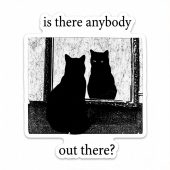 Pink Floyd Sticker - Is There Any Body Out There Funny Witchy Cat