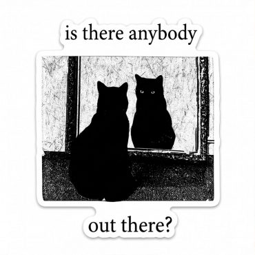 Pink Floyd Sticker - Is There Any Body Out There Funny Witchy Cat