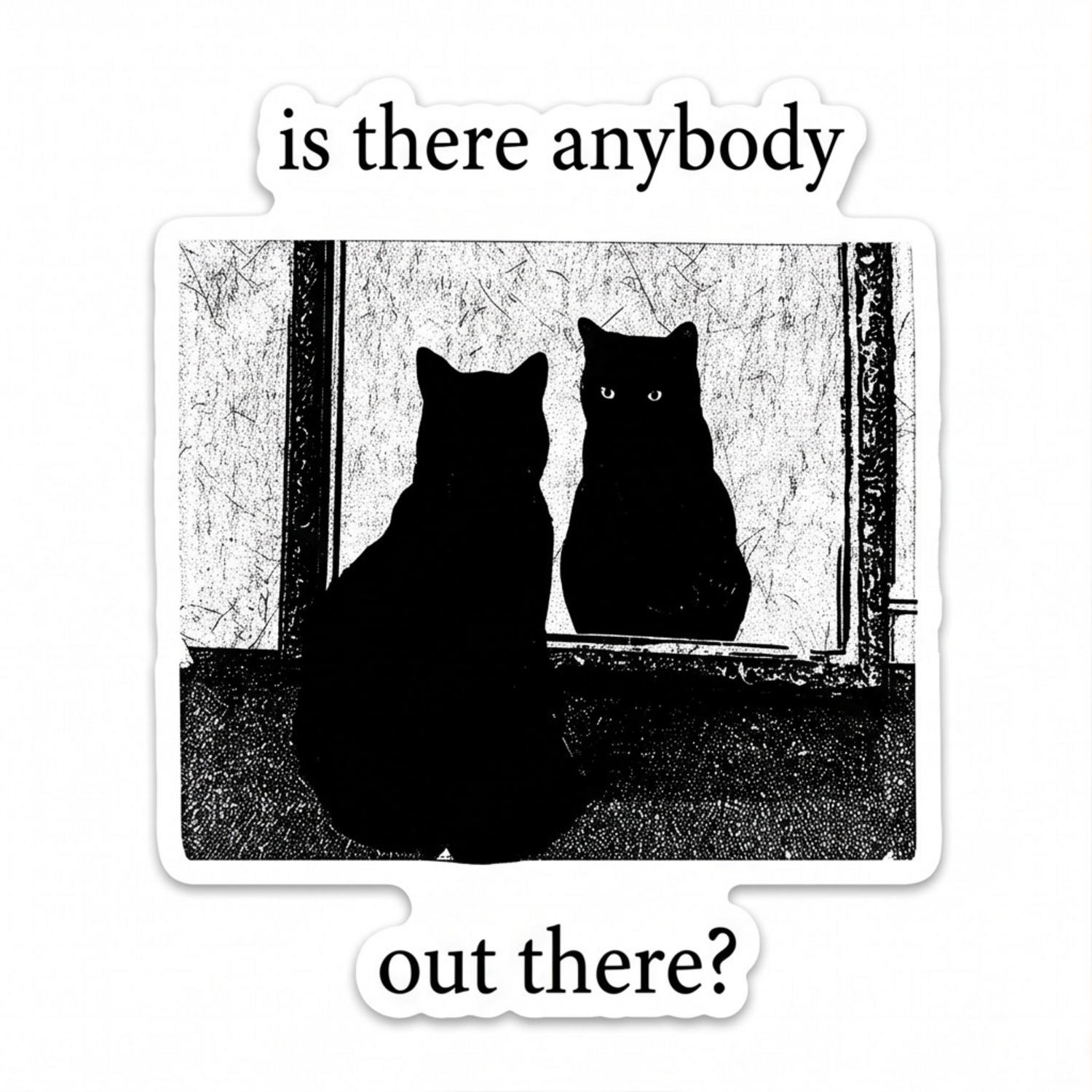 Pink Floyd Sticker - Is There Any Body Out There Funny Witchy Cat Pink Floyd Sticker - Is There Any Body Out There Funny Witchy Cat