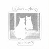 Pink Floyd Sticker - Is There Any Body Out There Funny Witchy Cat