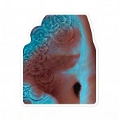 Pink Floyd Sticker - Meddle Album Cover 1971