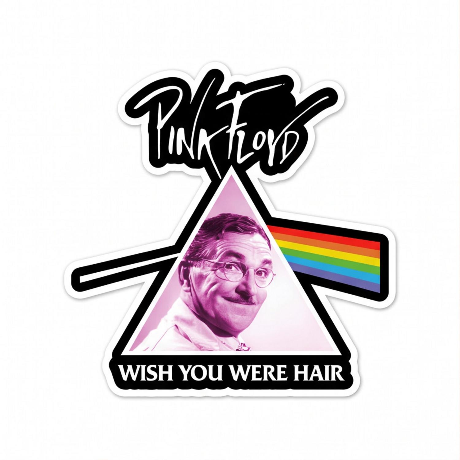 Pink Floyd Sticker - Wish You Were Hair Pink Floyd Sticker - Wish You Were Hair