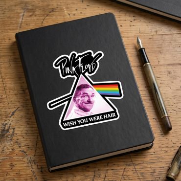 Pink Floyd Sticker - Wish You Were Hair