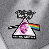 Pink Floyd Sticker - Wish You Were Hair Pink Floyd Sticker - Wish You Were Hair