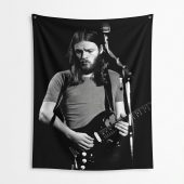 Pink Floyd Tapestry - David Gilmour Live In Concert 1974