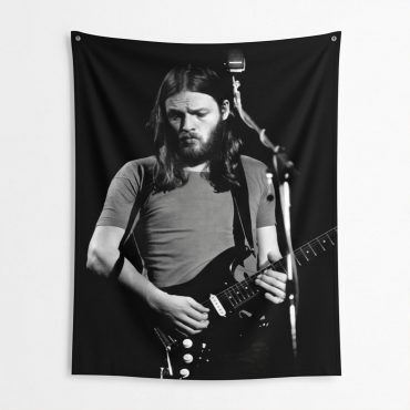 Pink Floyd Tapestry - David Gilmour Live In Concert 1974 Pink Floyd Tapestry - David Gilmour Live In Concert 1974