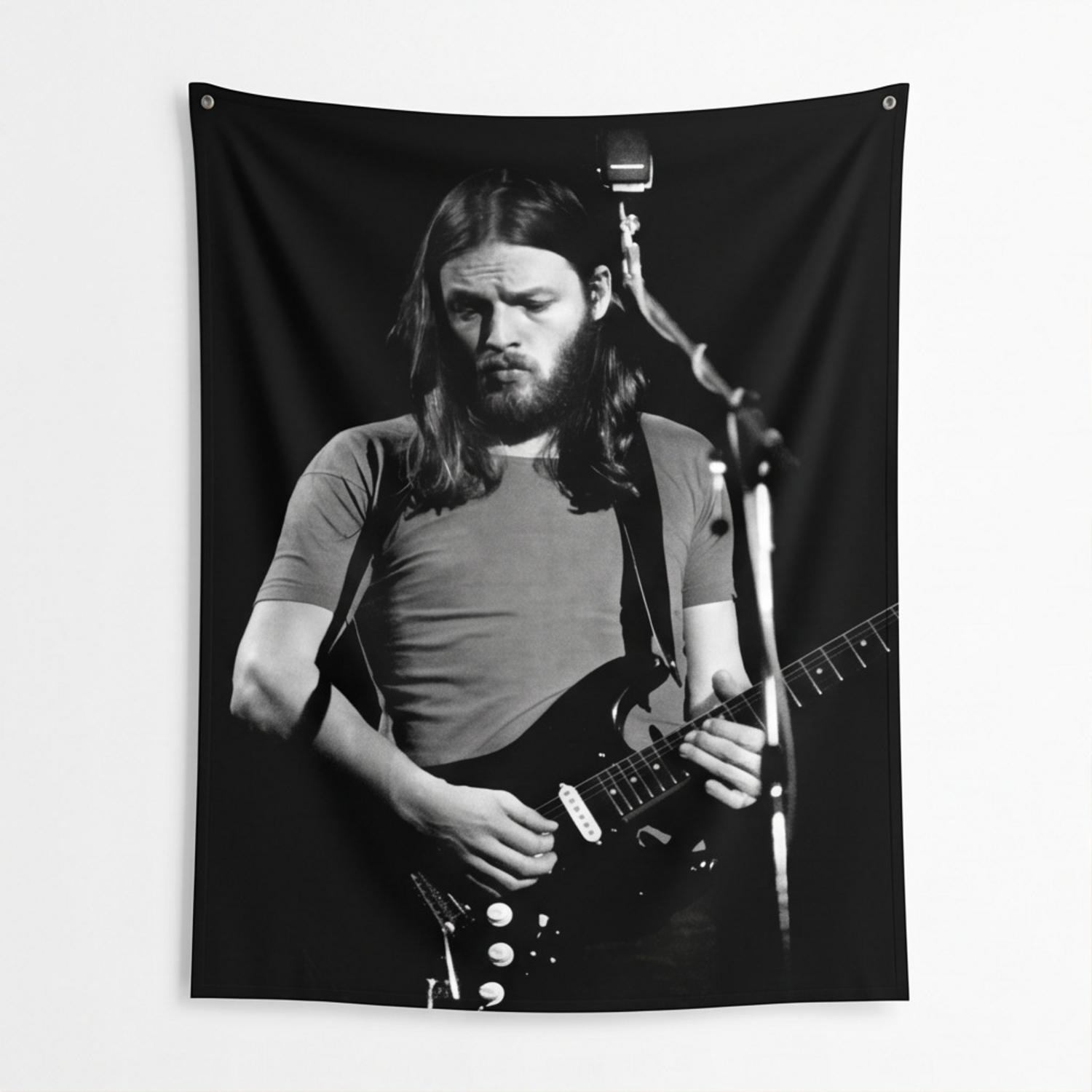 Pink Floyd Tapestry - David Gilmour Live In Concert 1974 Pink Floyd Tapestry - David Gilmour Live In Concert 1974