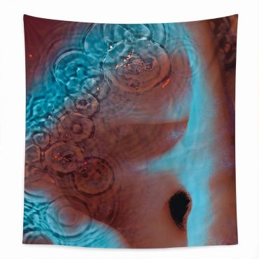 Pink Floyd Tapestry - Meddle Album Cover 1971