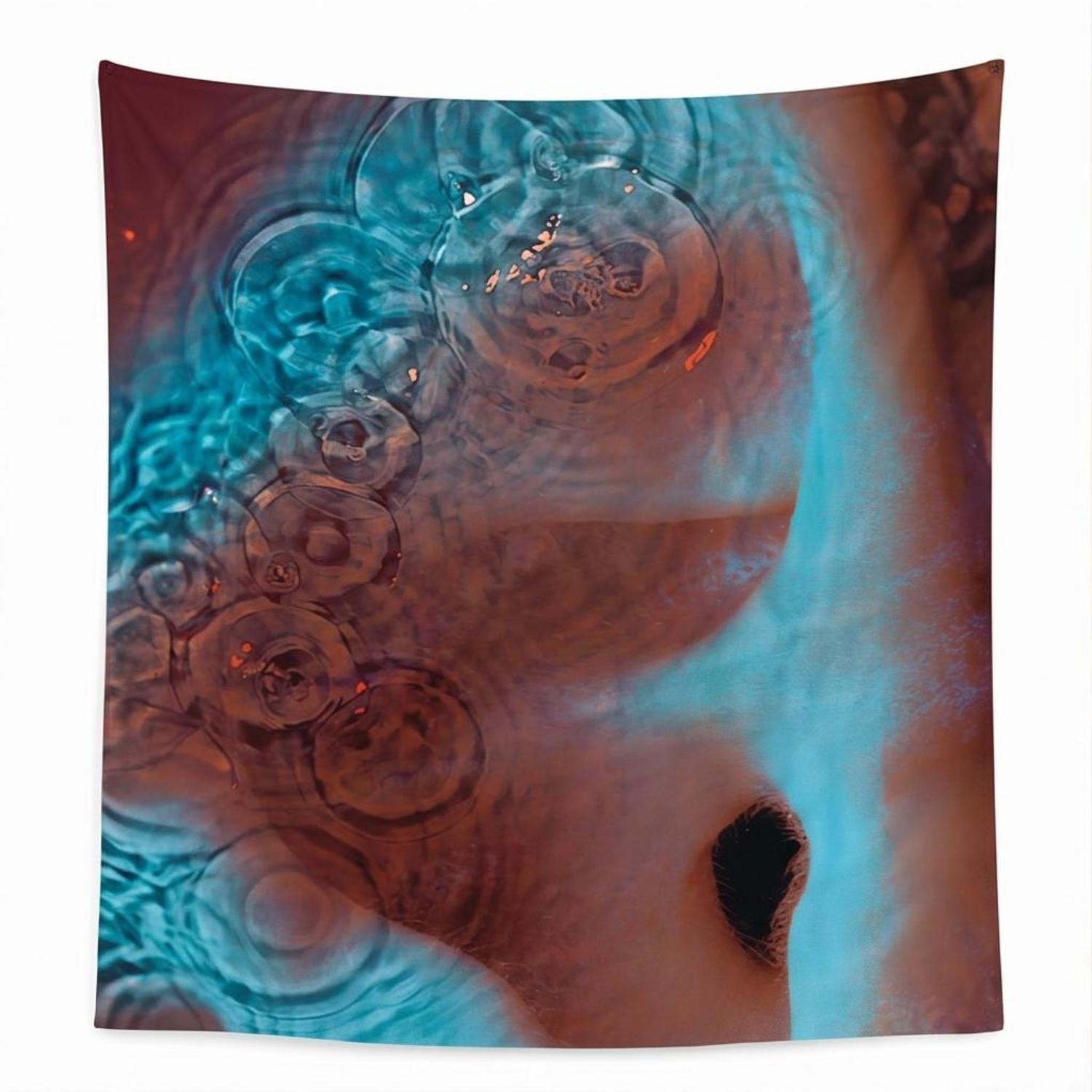 Pink Floyd Tapestry - Meddle Album Cover 1971 Pink Floyd Tapestry - Meddle Album Cover 1971