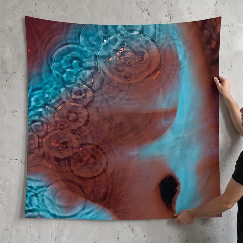 Pink Floyd Tapestry - Meddle Album Cover 1971 Pink Floyd Tapestry - Meddle Album Cover 1971