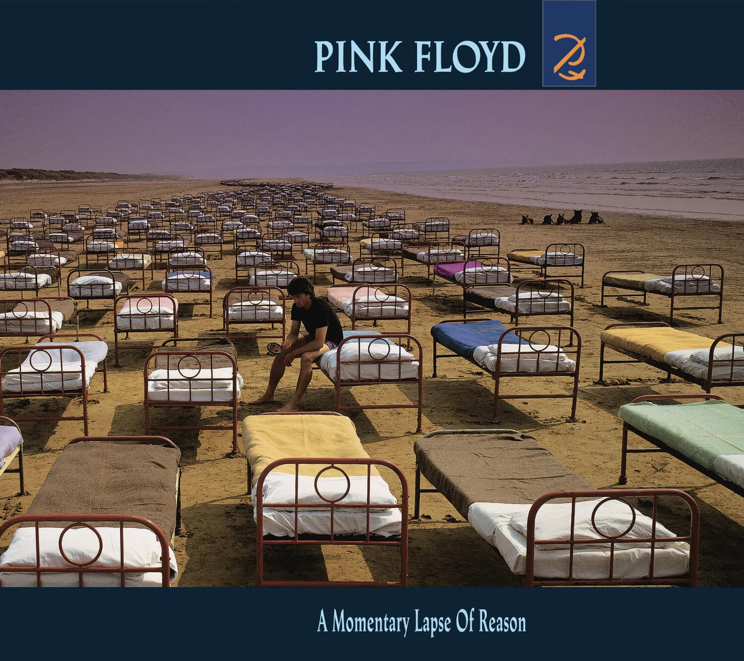 Pink Floyd A Momentary Lapse Of Reason Orig - OtherBrick